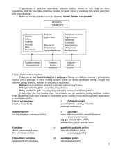 Marketingo prigimtis ir turinys 9 puslapis