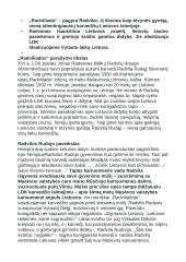 12 klasės autorių konspektas 2 puslapis