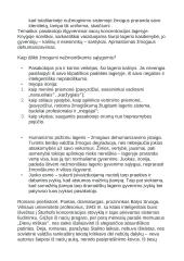 12 klasės autorių konspektas 12 puslapis