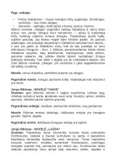 12 klasės autorių konspektas 5 puslapis