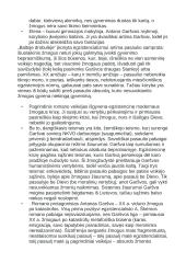 12 klasės autorių konspektas 10 puslapis