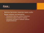 Mityba ir virškinimas (skaidrės) 11 puslapis