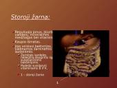 Mityba ir virškinimas (skaidrės) 15 puslapis