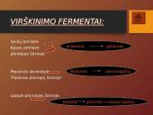 Mityba ir virškinimas (skaidrės) 17 puslapis