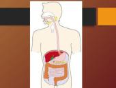 Mityba ir virškinimas (skaidrės) 18 puslapis