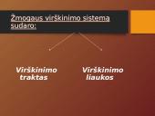 Mityba ir virškinimas (skaidrės) 5 puslapis