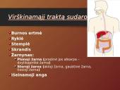 Mityba ir virškinimas (skaidrės) 6 puslapis