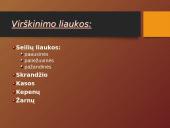 Mityba ir virškinimas (skaidrės) 7 puslapis