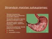 Mityba ir virškinimas (skaidrės) 9 puslapis