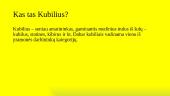 Kubiliaus profesija 2 puslapis