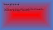 Kubiliaus profesija 3 puslapis