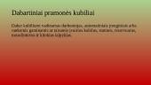 Kubiliaus profesija 6 puslapis