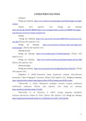 Interneto naršyklės (referatas) 11 puslapis