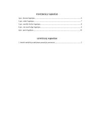 Interneto naršyklės (referatas) 2 puslapis