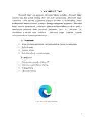 Interneto naršyklės (referatas) 8 puslapis