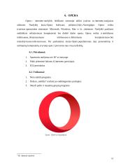 Interneto naršyklės (referatas) 9 puslapis