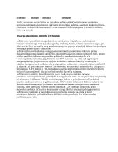 Mažmeninių prekybos įmonių buhalterinė apskaita 10 puslapis