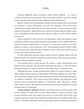 Moteriškų drabužių kokybinės charakteristikos mados ir technologiškumo aspektais  4 puslapis