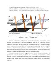 Aerozolių ir debesų vaidmuo formuojant klimatą 12 puslapis