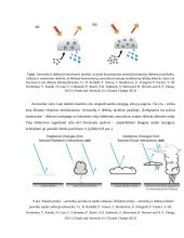 Aerozolių ir debesų vaidmuo formuojant klimatą 14 puslapis