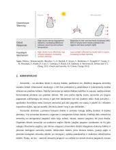 Aerozolių ir debesų vaidmuo formuojant klimatą 8 puslapis