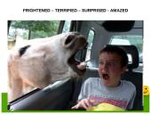 Feelings and emotions 10 puslapis