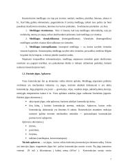 Medžiagų atsparumo paskaitų teorija 7 puslapis