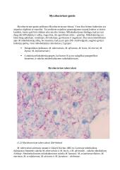 Burnos mikroflora 2 puslapis