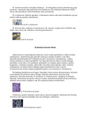 Burnos mikroflora 4 puslapis