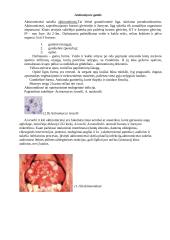 Burnos mikroflora 5 puslapis