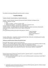 Mikroekonomikos. ﻿Paklausa ir pasiūla 5 puslapis