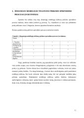 Vartotojų elgsena perkant mobiliuosius telefonus 11 puslapis