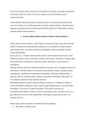 Kultūros institutų veikla 10 puslapis