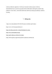 Kultūros institutų veikla 14 puslapis