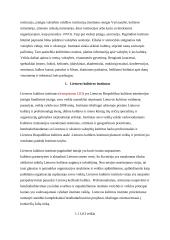 Kultūros institutų veikla 2 puslapis