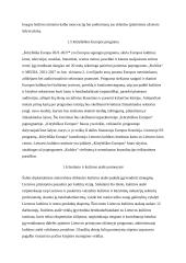 Kultūros institutų veikla 7 puslapis