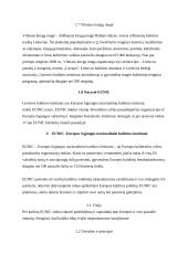 Kultūros institutų veikla 8 puslapis