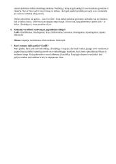„Tiltas į Terabitiją“ knygos aprašymas 3 puslapis