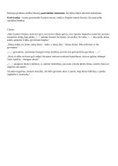 „Vakarų fronte nieko naujo“ aprašymas 3 puslapis