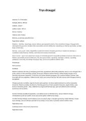 „Trys draugai“ knygos aprašymas