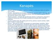 Narkotinės medžiagos ir narkomanija 5 puslapis