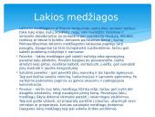 Narkotinės medžiagos ir narkomanija 10 puslapis