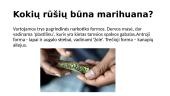 Marihuana skaidrės 2 puslapis