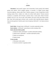 Įmonės „McDonald's“ socialinės atsakomybės analizė.docx 2 puslapis