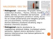 Halogenai skaidrės 2 puslapis