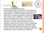Halogenai skaidrės 6 puslapis