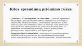Sprendimo priėmimo procesas 20 puslapis