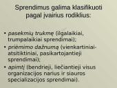 Sprendimo priėmimo metodai 15 puslapis