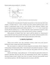 Muitai ir tarptautinė prekyba 11 puslapis