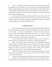 Muitai ir tarptautinė prekyba 15 puslapis